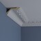 Ekena Millwork 2 3/4"H x 5 1/8"P x 5 3/4"F x 94 1/2"L, (4 3/4" Repeat) Artis with Shells Crown Moulding MLD05X03X06AR - alternate 9